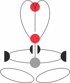 Привязь ACCESS XT BLACK, размер S-L, CAMP