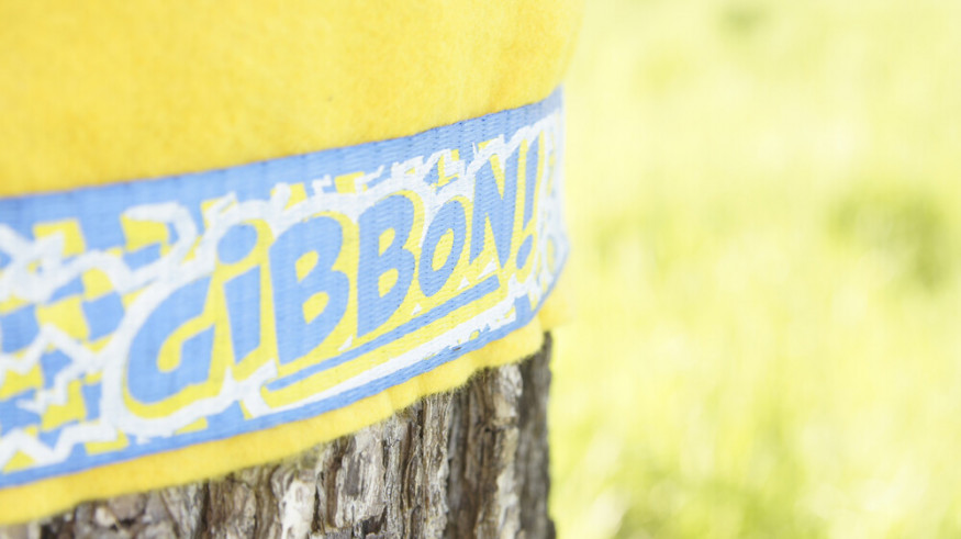 Комплект Funline 15 m слэклайн +защита для дерева